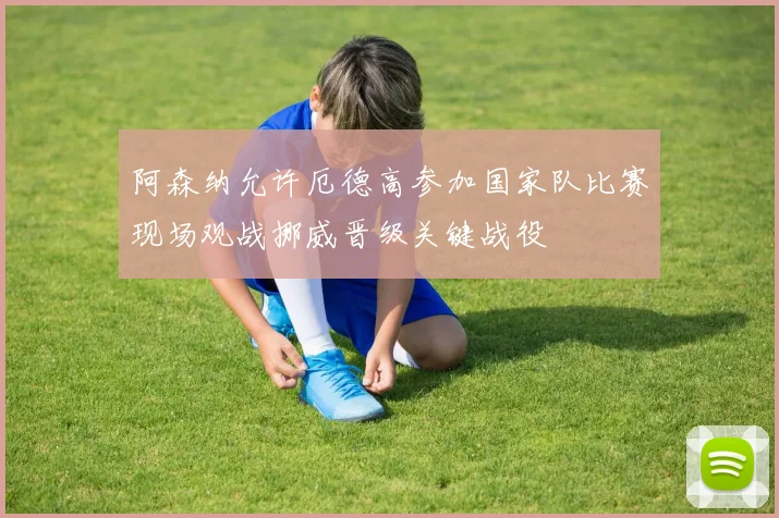 阿森纳允许厄德高参加国家队比赛现场观战挪威晋级关键战役